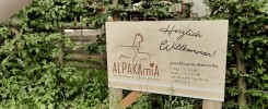 Sommerpause Alpakamia Shop